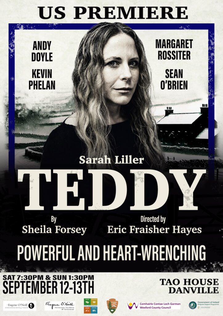TEDDY new Poster sm