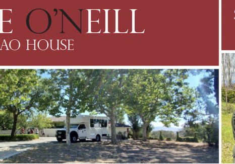 Summer 2025 Newsletter
